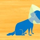 Podcast Logo
