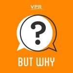 How Are Babies Made? episode logo