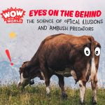 Eyes On The Behind: The Science of Optical Illusions and Ambush Predators (Encore – 5/30/22) episode logo