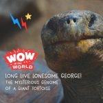 Long Live Lonesome George! – The Mysterious Genome Of A Giant Tortoise episode logo