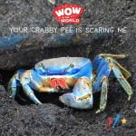 Your Crabby Pee Is Scaring Me! (Encore – 7/22/19) episode logo
