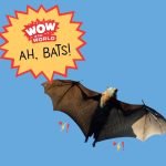 Ah, BATS! (encore) episode logo
