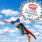 All-Natural Superheroes Part 1 episode logo