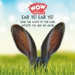 EAR YE! EAR YE! How The Shape Of Our Ears Affects The Way We Hear! episode logo