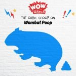 The Cubic Scoop on Wombat Poop! episode logo