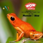 An UnFROGettable Day At the Museum of Wow! episode logo