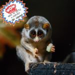 Need to Settle A Dispute? Try Venom! (Encore – 1/31/22) episode logo