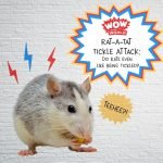 Rat-A-Tat Tickle Attack: Do Rats Even Like Being Tickled? episode logo