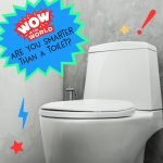 Are You Smarter Than A Toilet? (encore) episode logo