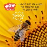 1+2=3? Just Ask A BEE! – The Scientific Buzz On Bees & Math (encore) episode logo