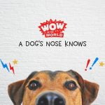 A Dog’s Nose Always Knows (Encore – 11/26/18) episode logo