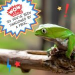 So You’ve Been Swallowed By A Frog (Encore – 1/17/22) episode logo