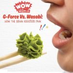 G-Force Vs. Wasabi: How The Brain Registers Pain (encore) episode logo
