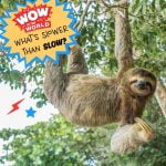 What’s Slower Than Slow? episode logo