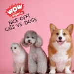 Nice-Off! Cats Vs. Dogs episode logo