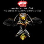 Samurai Vs. The Stink: The Science of Invasive Wildlife Species episode logo