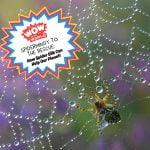 SpiderMindy to the Rescue: How Spider Silk Can Help the Planet! episode logo