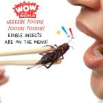 Heeeere Foodie Foodie Foodie! – Edible Insects Are On The Menu! episode logo