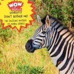 Horsefly Don’t Bother Me! – The Dazzling Mystery Of Zebra Stripes (Encore – 11/18/19) episode logo
