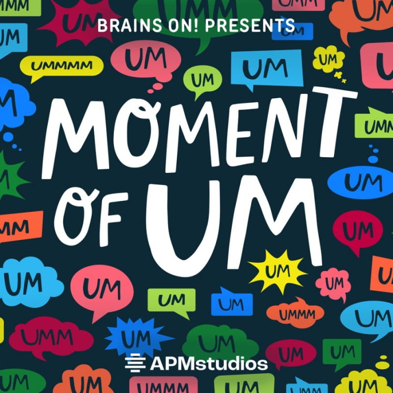 How do solar panels work? from Moment of Um Children's Podcast