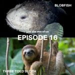 16: Blobfish & Three-Toed Sloth episode logo