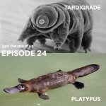24: Tardigrade & Platypus episode logo