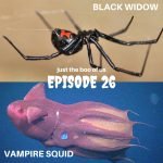 26: Black Widow & Vampire Squid episode logo