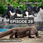 29: Delacour&apos;s Langur & Komodo Dragon episode logo