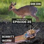 35: Dik Dik & Bobbit Worm episode logo
