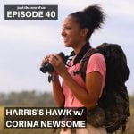40: Harris&apos;s Hawk w/ Corina Newsome! episode logo