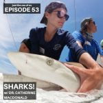 53: Sharks w/ Dr. Catherine Macdonald! episode logo