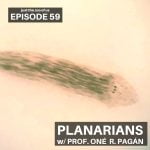 59: Planarians w/ Prof. Oné R. Pagán! episode logo