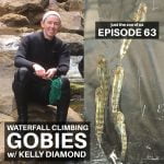 63: Waterfall Climbing Gobies w/ Kelly Diamond! episode logo