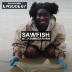 67: Sawfish w/ Jasmin Graham! episode logo