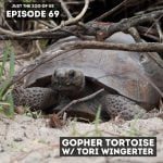 69: Gopher Tortoise w/ Tori Wingerter! episode logo