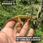 71: Dominican Anole w/ Chelsea Connor! episode logo