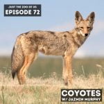 72: Coyotes w/ Jazmin Murphy! episode logo