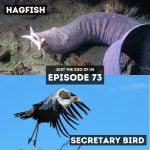 73: Hagfish & Secretary Bird episode logo
