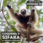 75: Coquerel&apos;s Sifaka w/ Keriann McGoogan! episode logo