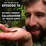 76: Olympic Torrent Salamander w/ Travis Kurtz! episode logo
