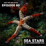 80: Sea Stars w/ Dr. Christopher Mah! episode logo