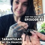 83: Tarantulas w/ Tea Francis! episode logo