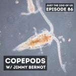 86: Copepods w/ Jimmy Bernot! episode logo