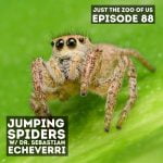 87: Jumping Spiders w/ Dr. Sebastian Echeverri! episode logo