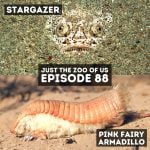 88: Stargazer & Pink Fairy Armadillo episode logo