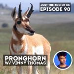90: Pronghorn w/ Vinny Thomas! episode logo