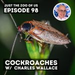 98: Cockroaches w/ Charles Wallace! episode logo
