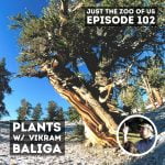 102: Plants w/ Dr. Vikram Baliga! episode logo