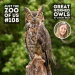 108: Great Horned Owl w/ Ashley Bray! episode logo