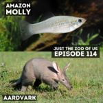 114: Amazon Molly & Aardvark episode logo
